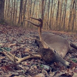 Meet your Posher, Nathaniel